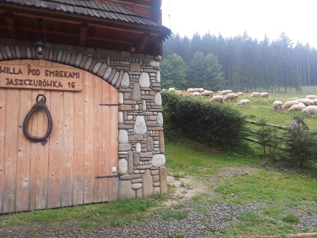 Wynajem Pokoi-Willa Pod Smrekami Zakopane Exterior foto