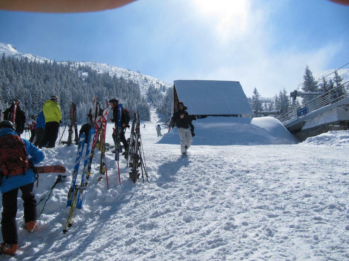 Wynajem Pokoi-Willa Pod Smrekami Zakopane Exterior foto